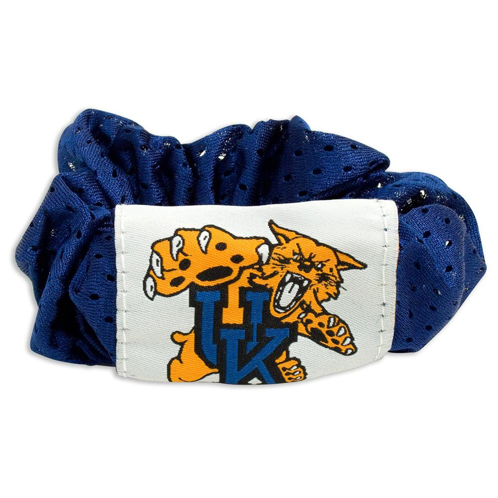 Kentucky Wildcats NCAA Hair Twist