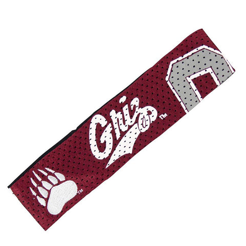 Montana Grizzlies NCAA FanBand