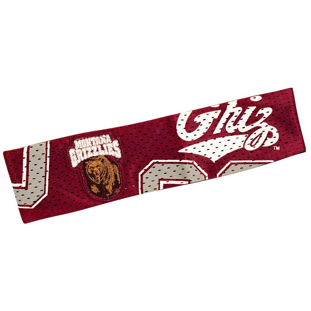 Montana Grizzlies NCAA FanBand