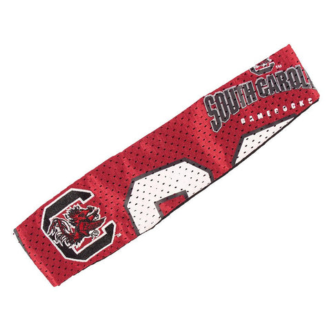 South Carolina Gamecocks NCAA FanBand