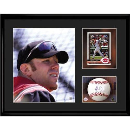 Cincinnati Reds MLB Adam Dunn Toon Collectible